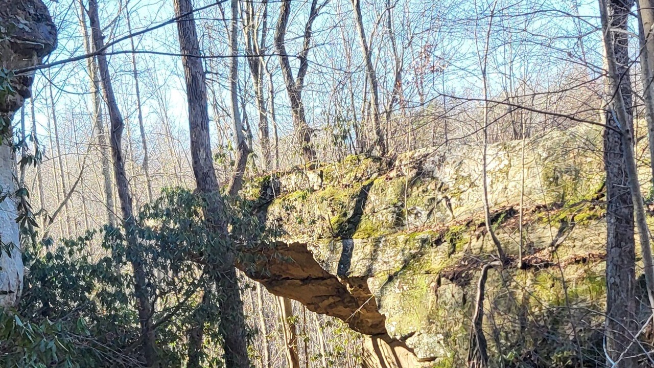 Photo of Others in East Bernstadt