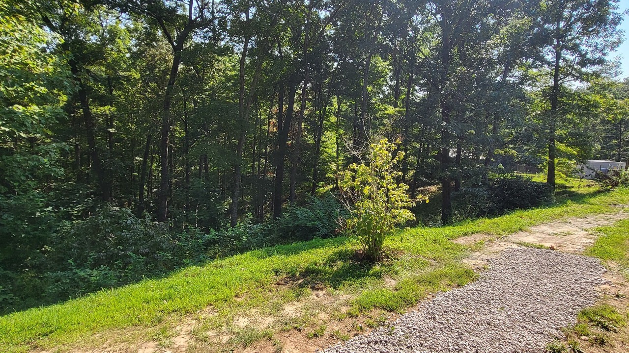 Photo of Outdoor in East Bernstadt