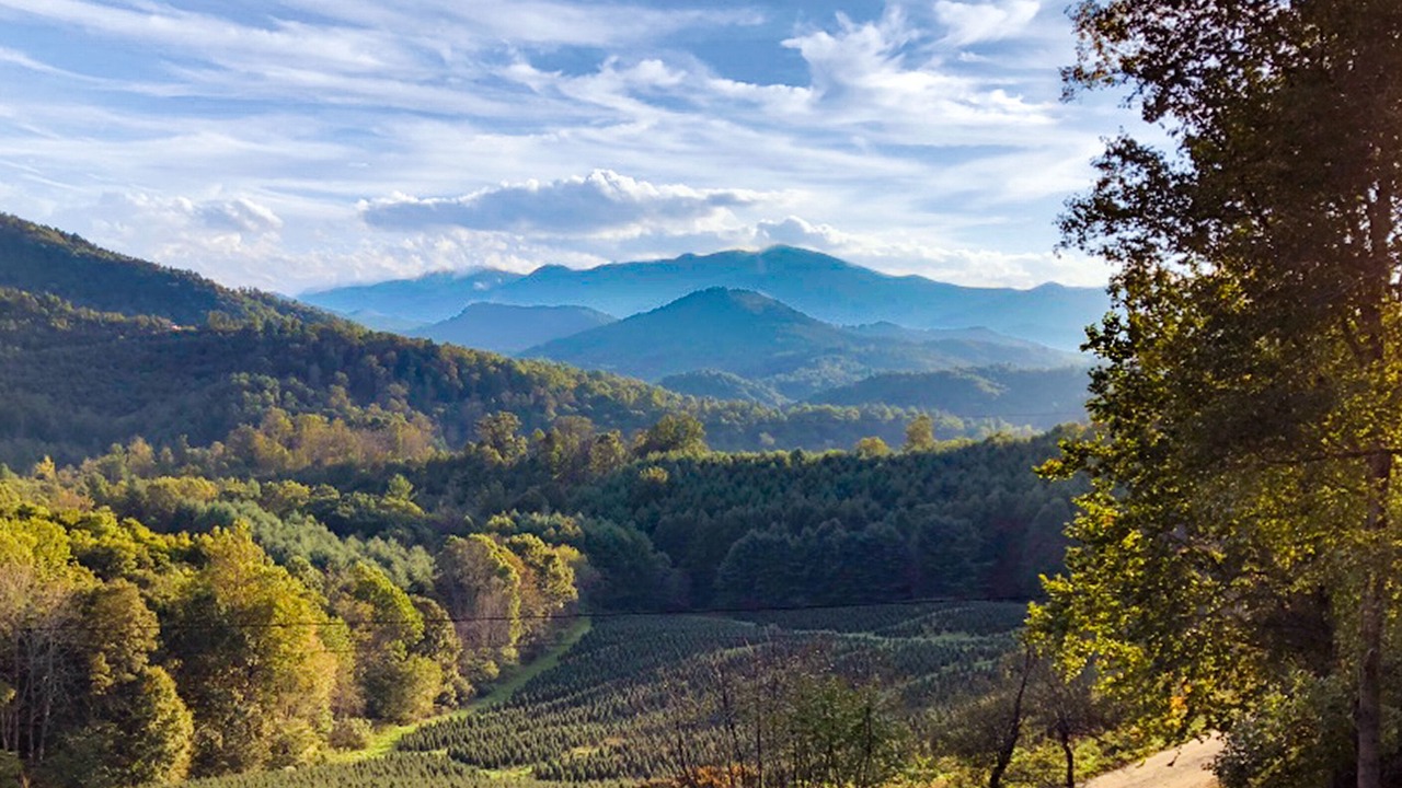 Photo of Others in Bakersville