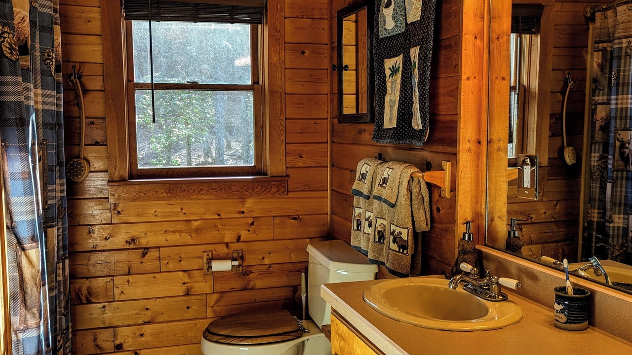 Photo of Bathroom in Pickens