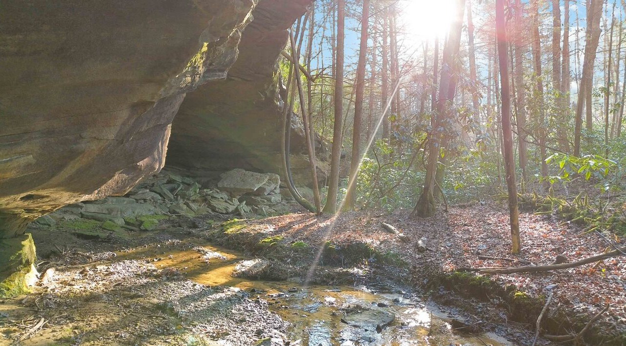 Photo of Outdoor in Corbin