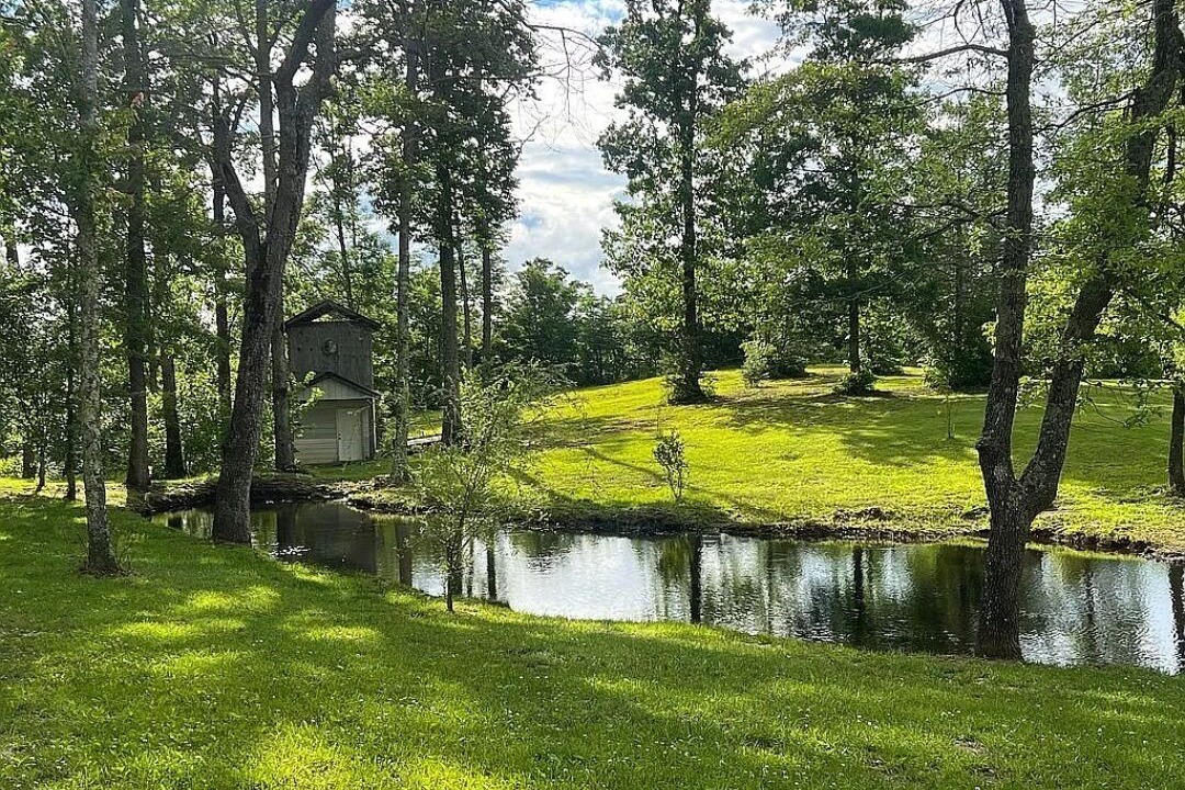 Photo of Outdoor in Newcomb
