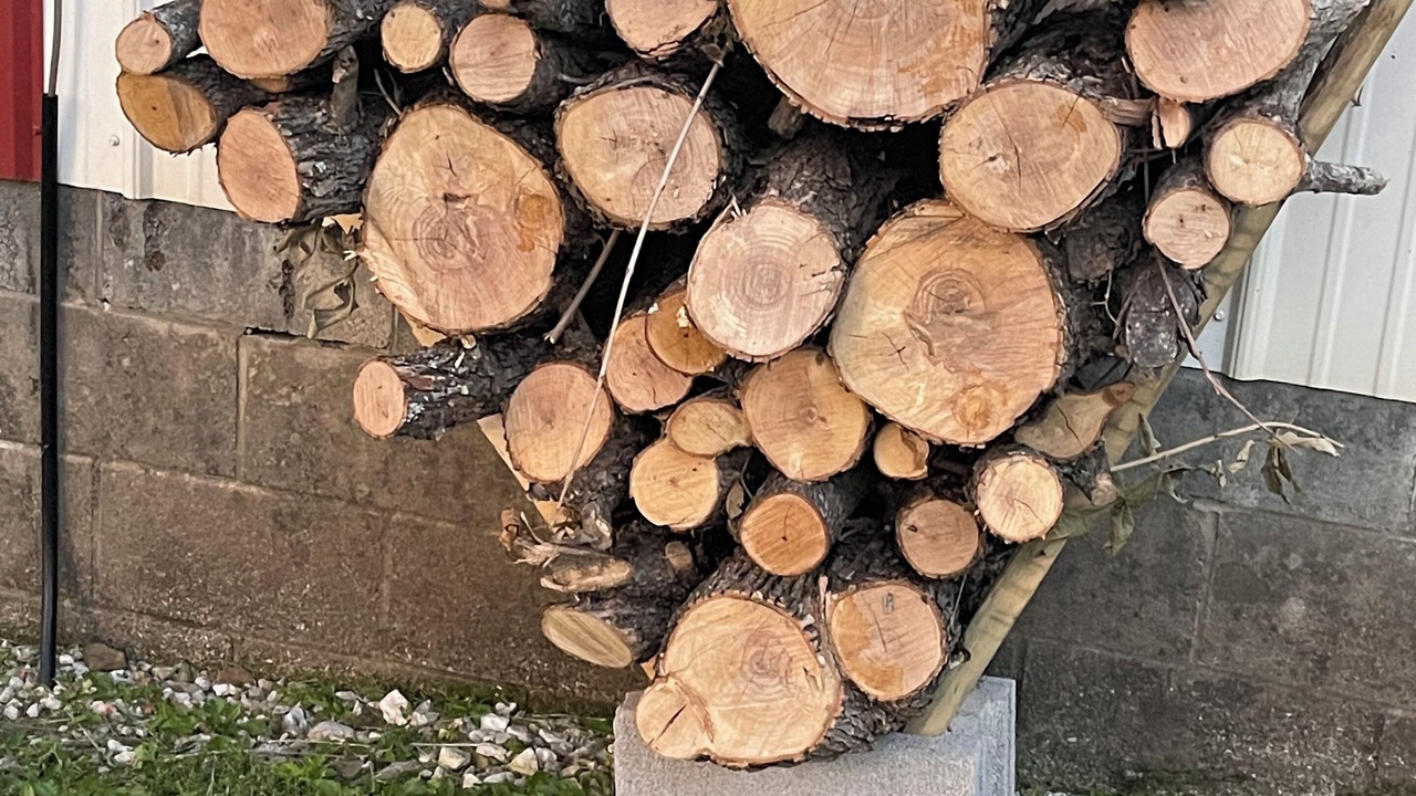 Photo of Outdoor in Cub Run