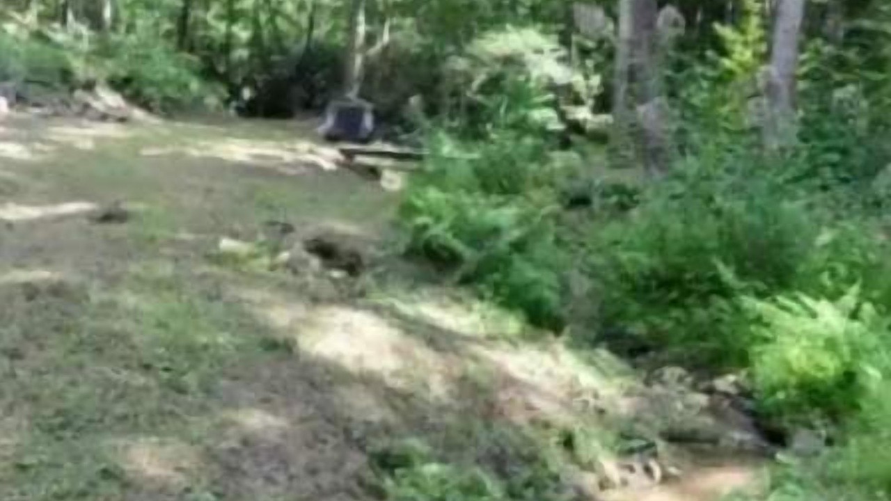 Photo of Others in Pickens