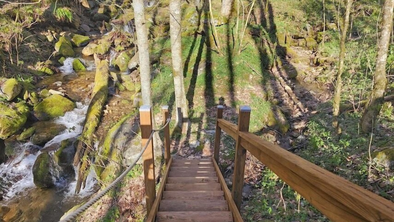 Photo of Others in Waynesville