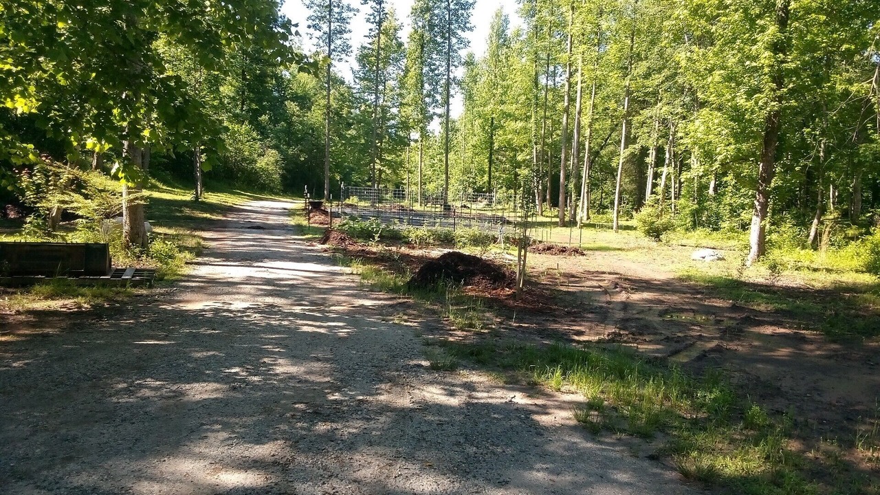 Photo of Outdoor in Pickens