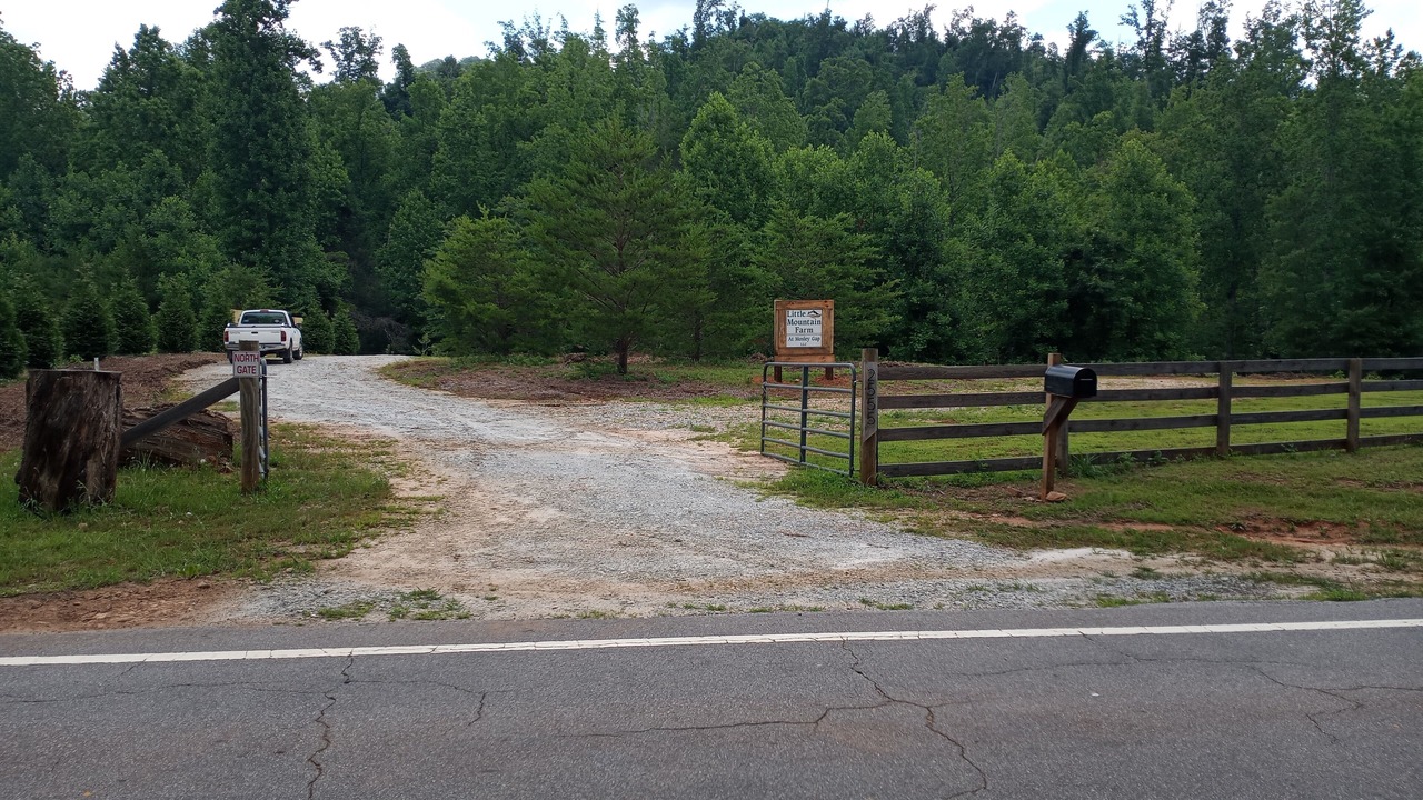 Photo of Others in Pickens