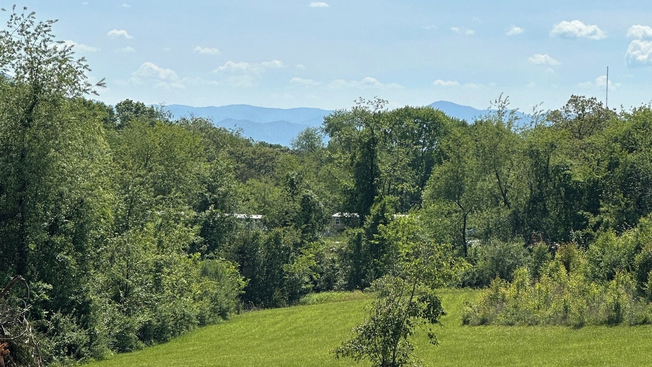 Photo of Others in Asheville