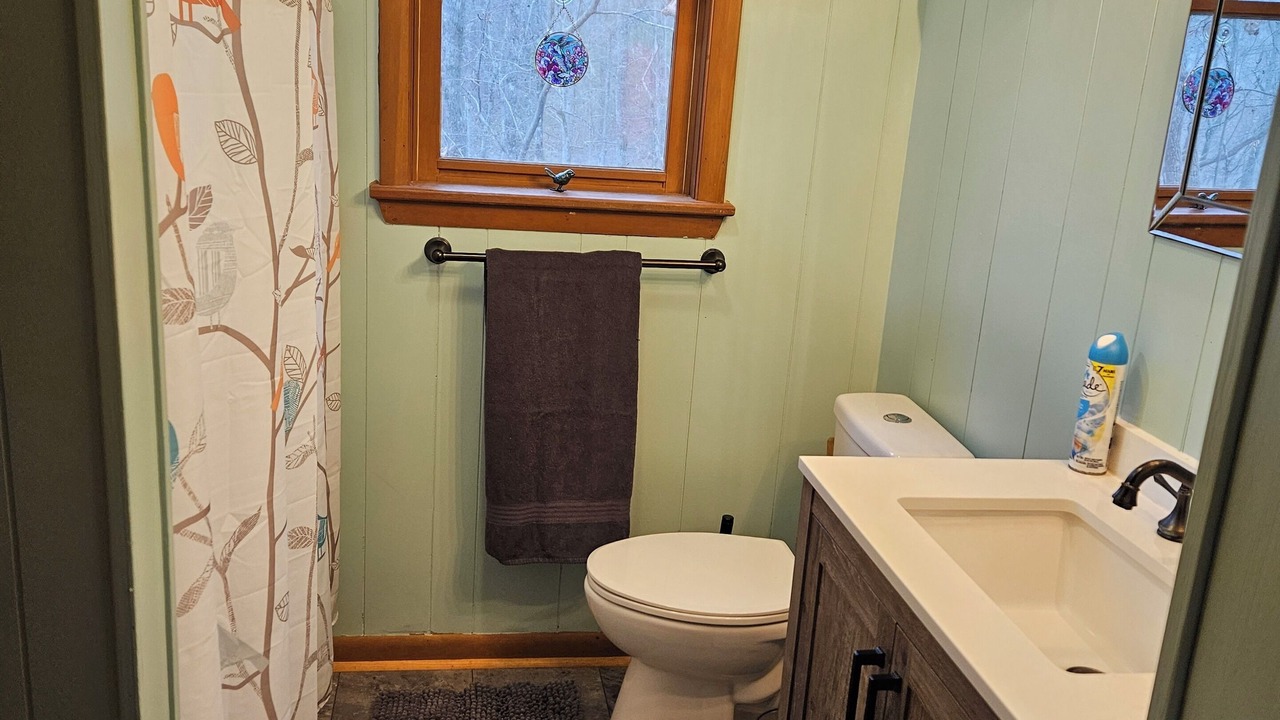Photo of Bathroom in Unaka