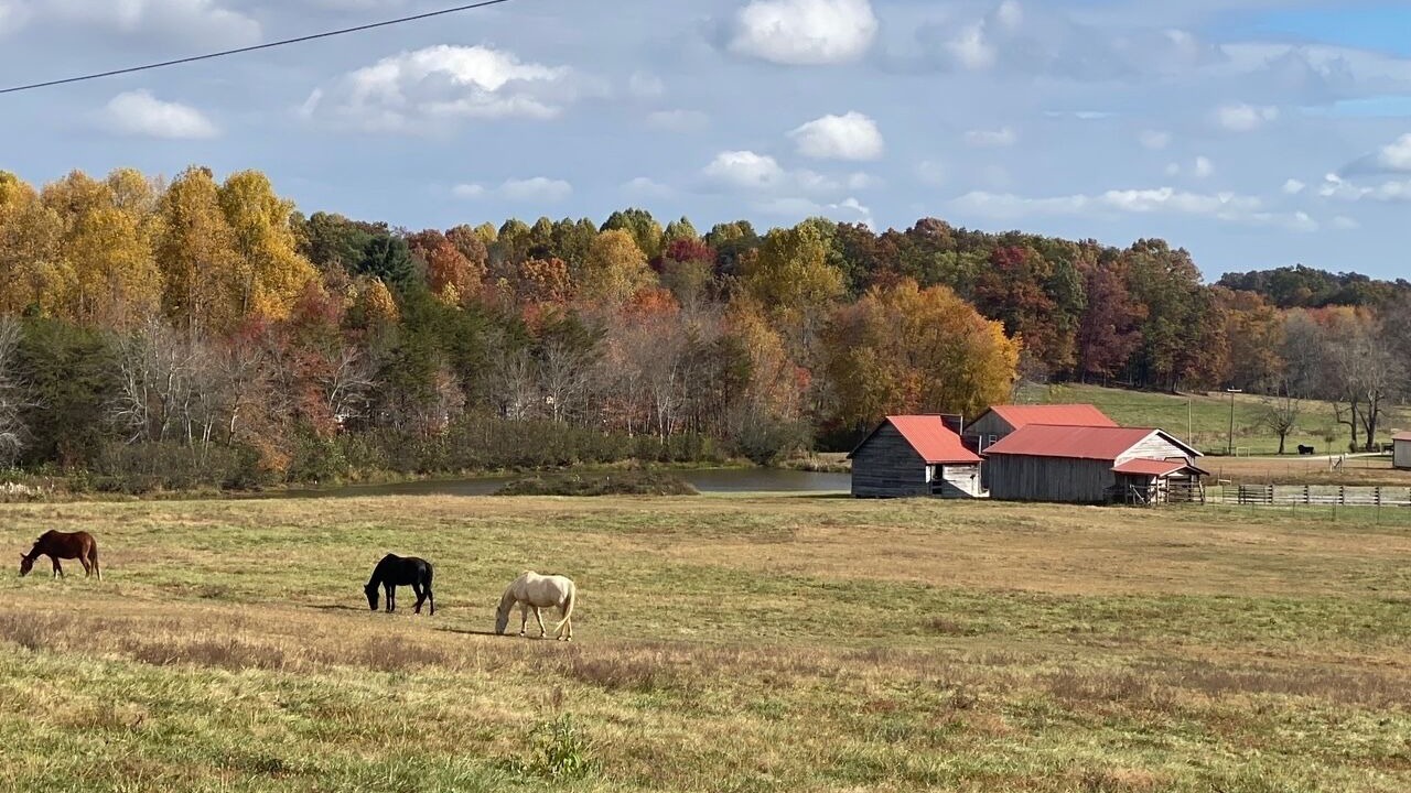 Photo of Others in Jamestown