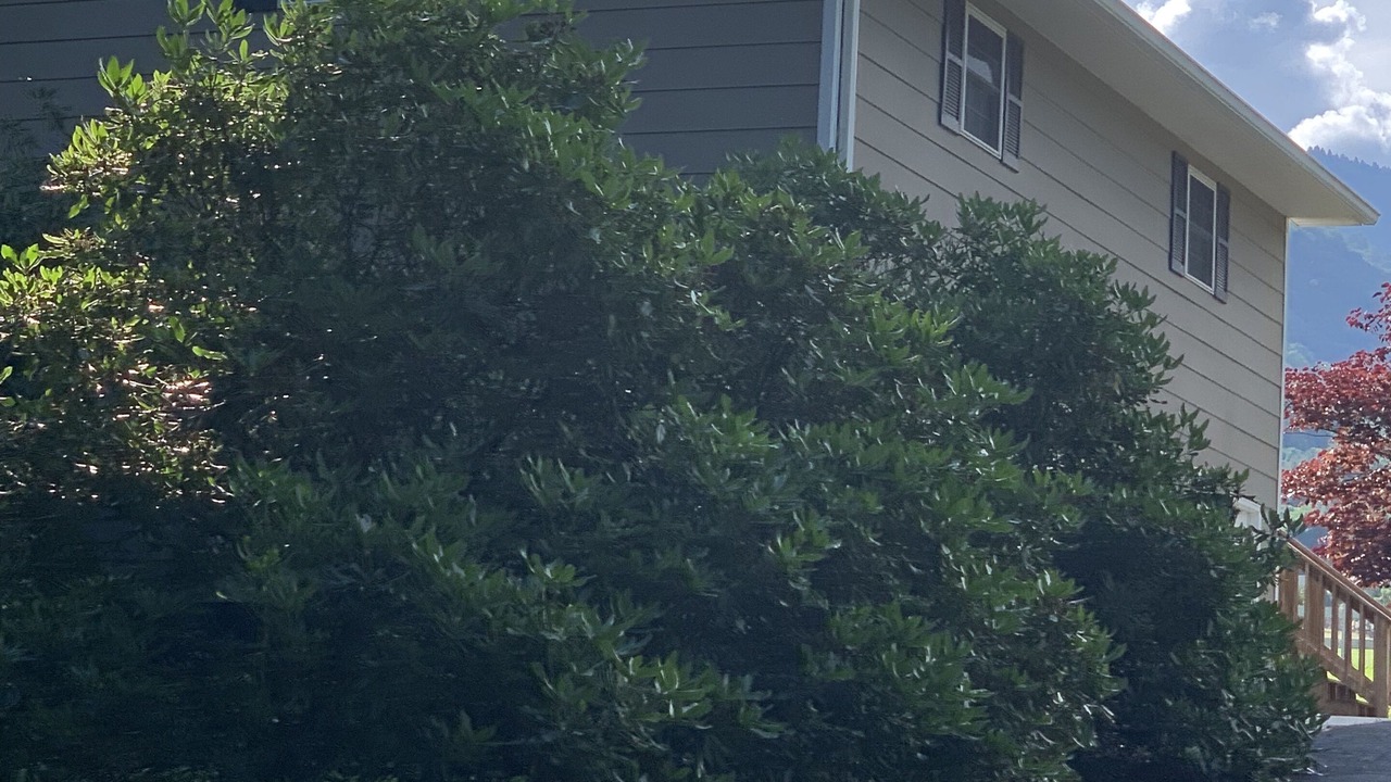 Photo of Outdoor in Waynesville