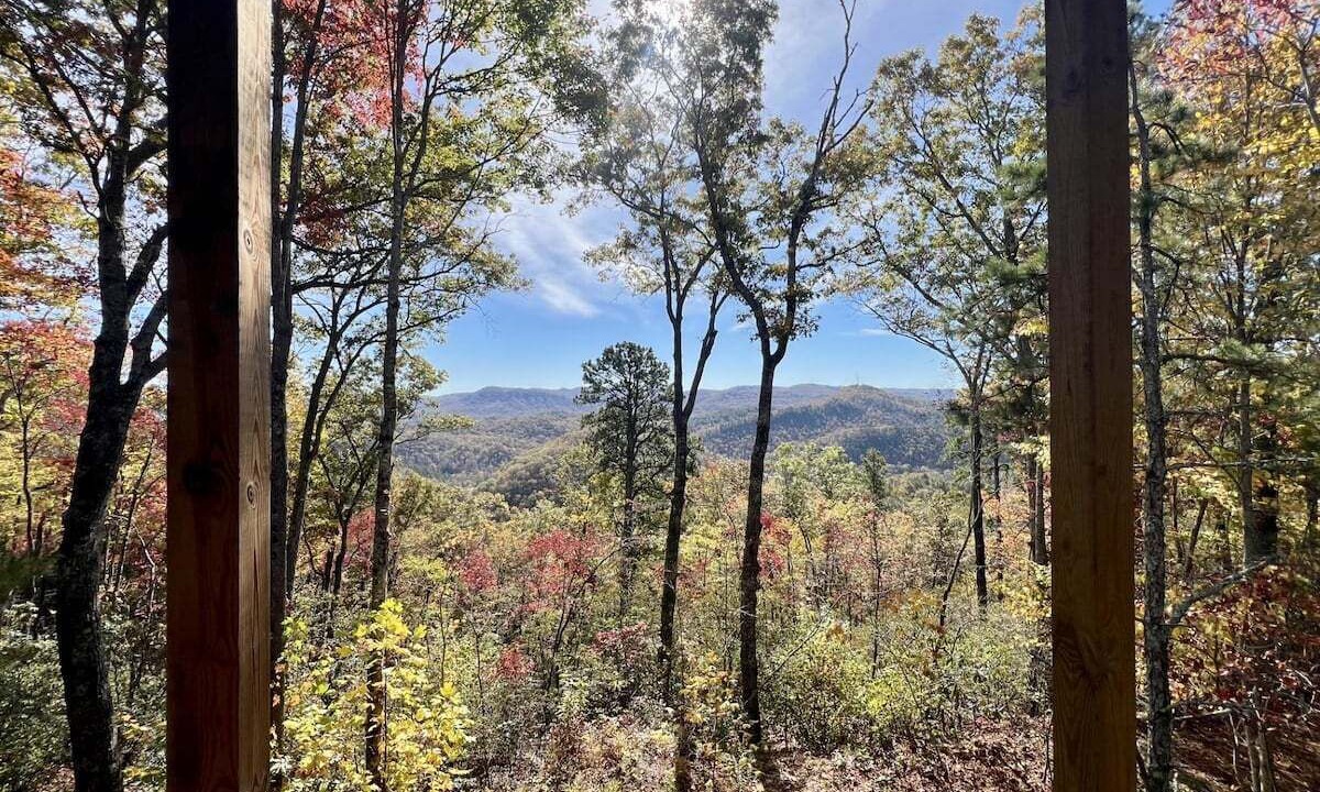 Photo of Others in Transylvania County