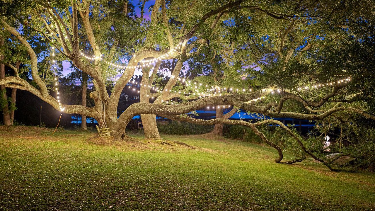 Photo of Outdoor in Wilmington