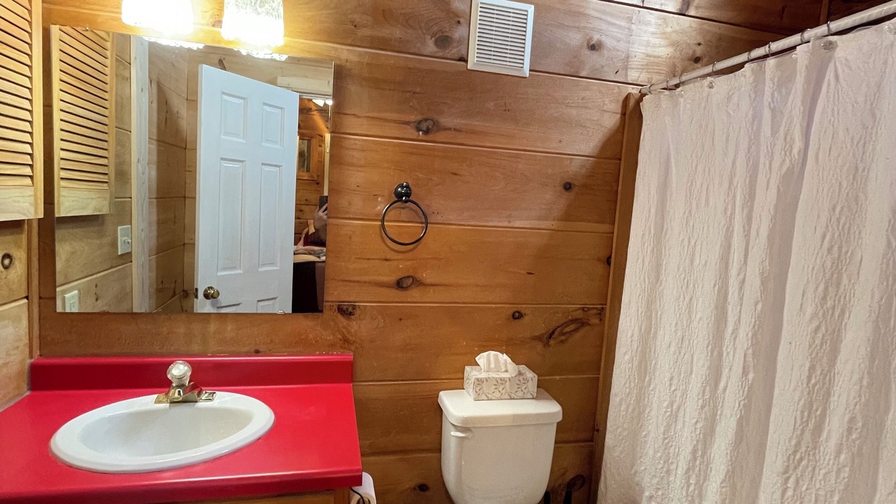 Photo of Bathroom in Landrum
