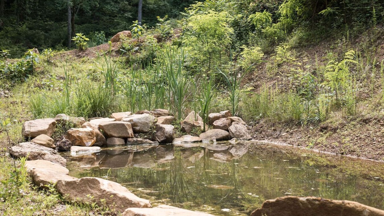 Photo of Outdoor in Asheville