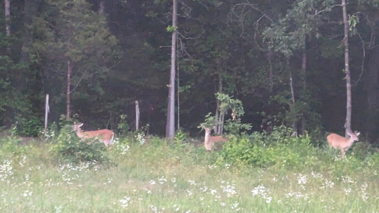 Photo of Others in Mechanicsville