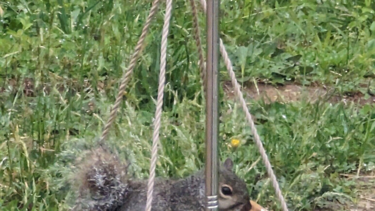 Photo of Others in Mechanicsville