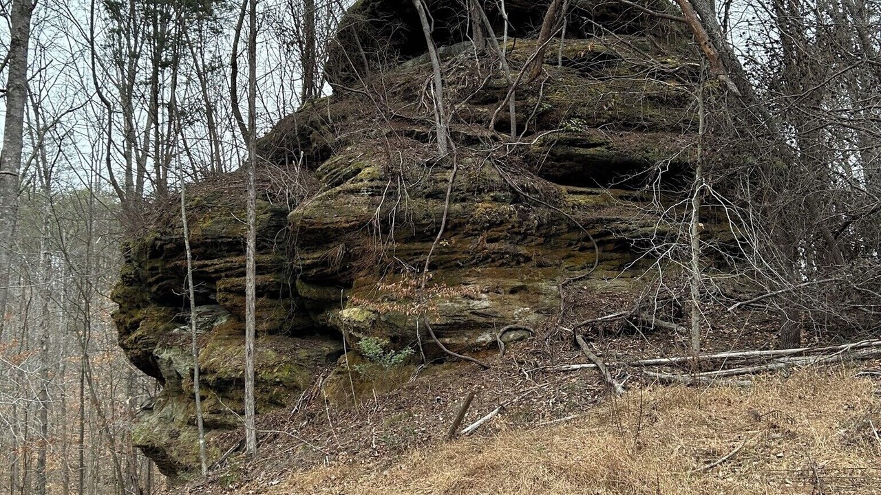 Photo of Others in Cub Run