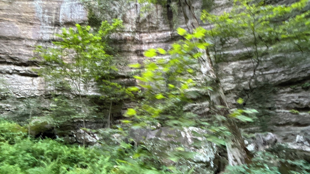 Photo of Outdoor in Cub Run
