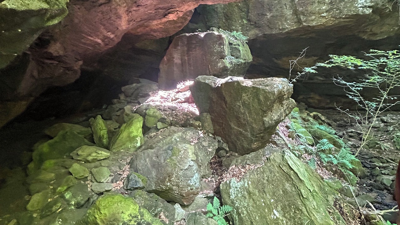 Photo of Outdoor in Cub Run