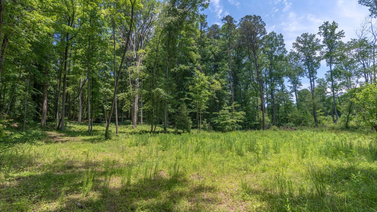 Photo of Others in Travelers Rest