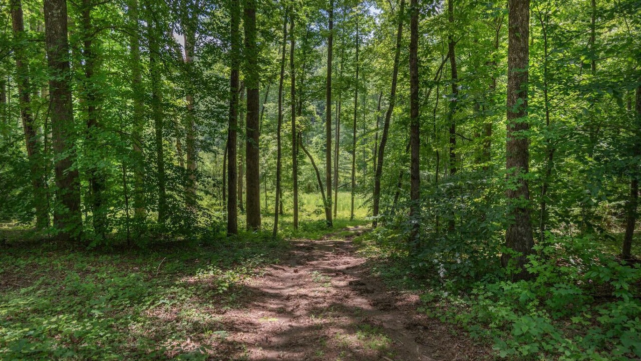 Photo of Others in Travelers Rest