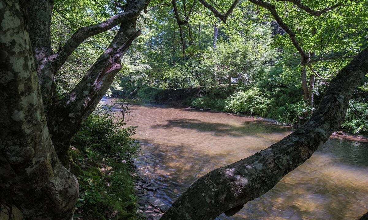 Photo of Others in Rosman