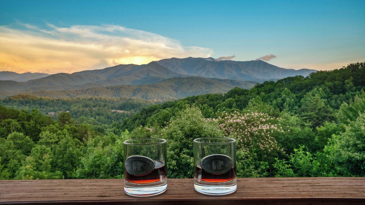 Photo of Others in Gatlinburg