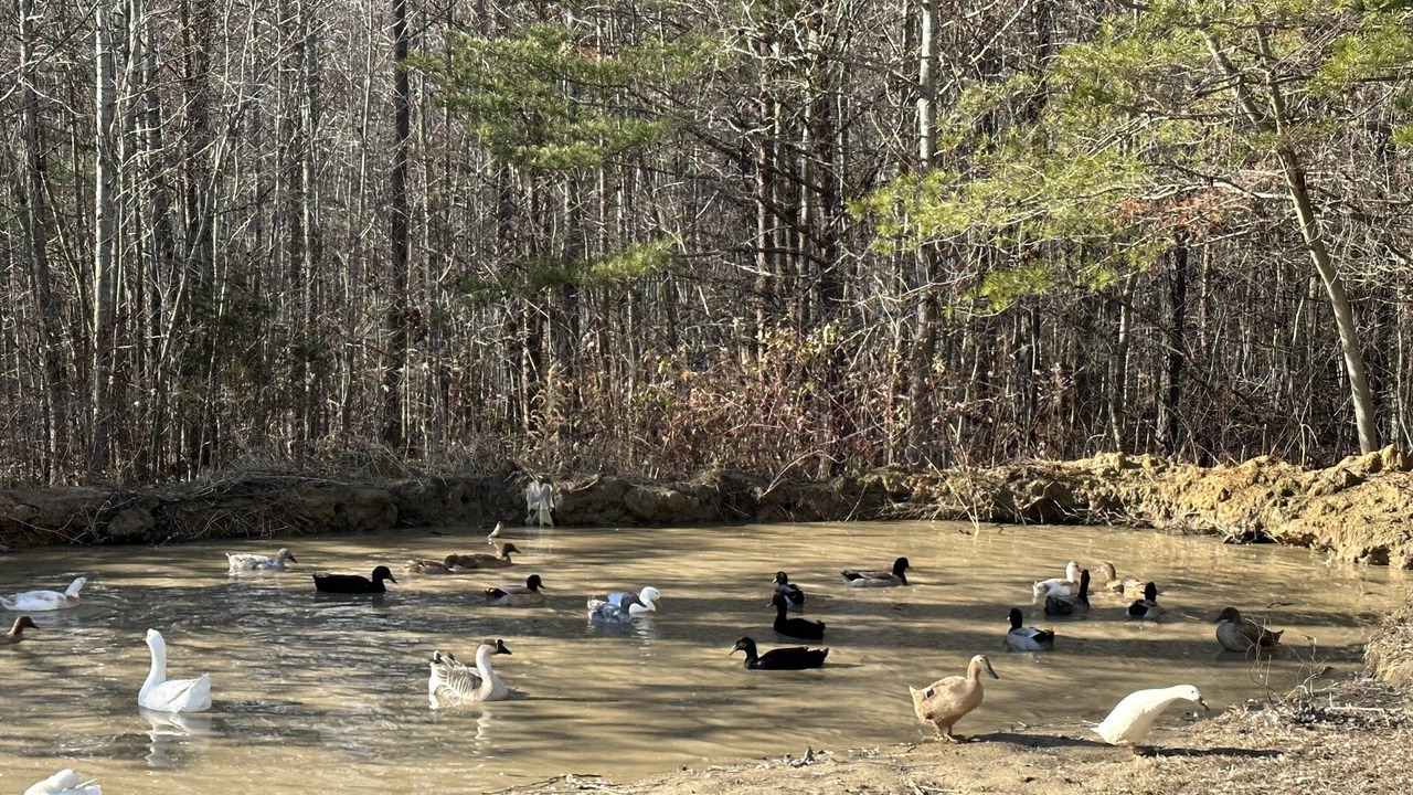 Photo of Others in Trenton