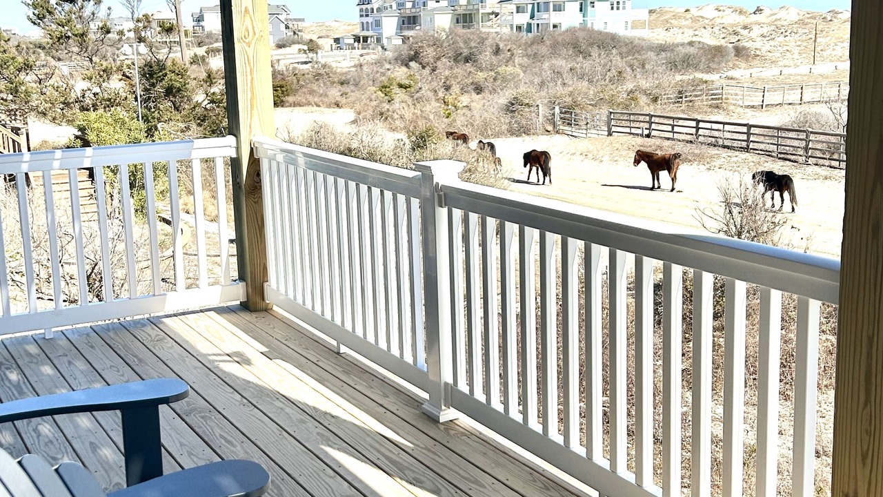 Photo of Outdoor in Carova Beach