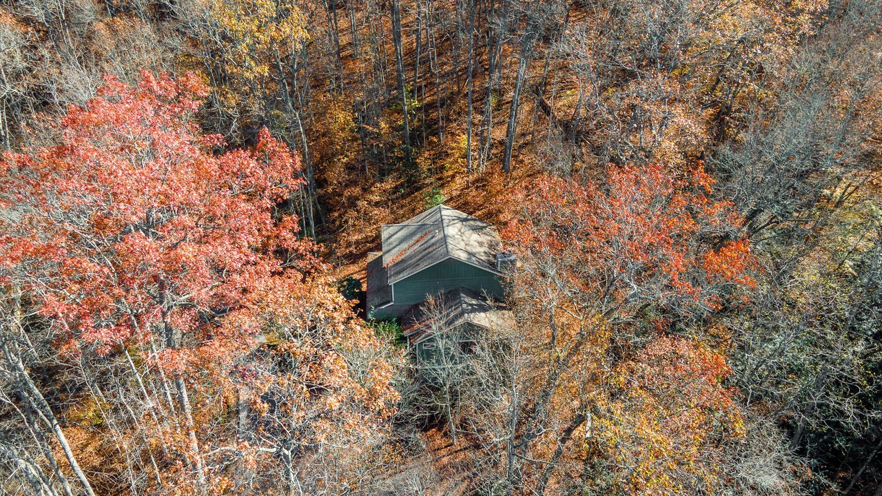 Photo of Others in Bear Lake Reserve