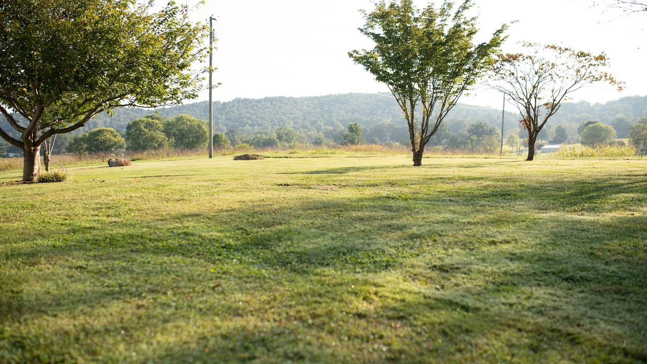 Photo of Outdoor in Livingston