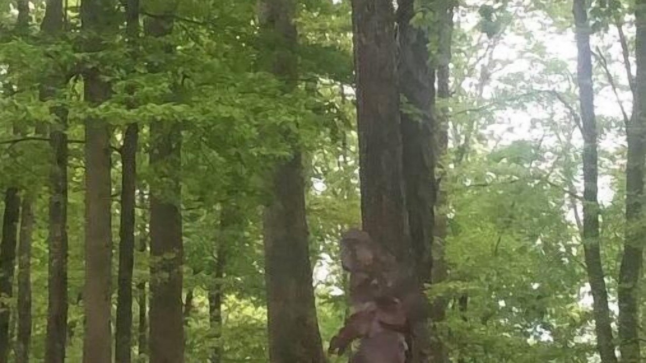 Photo of Outdoor in Monticello