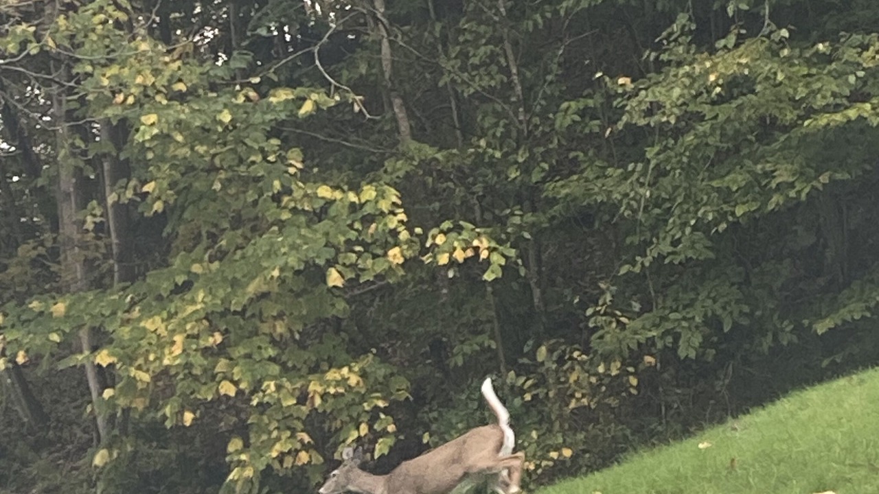 Photo of Others in Northfork