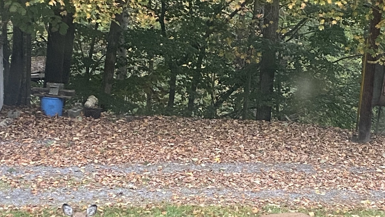 Photo of Outdoor in Northfork