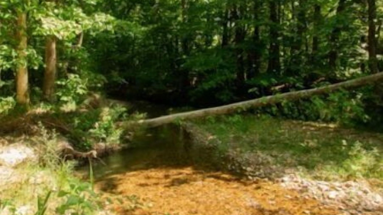 Photo of Outdoor in Linden