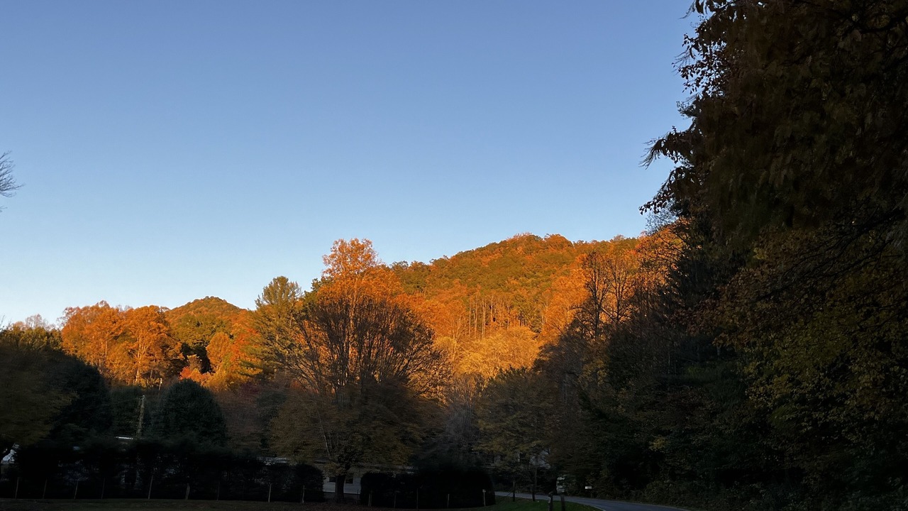 Photo of Outdoor in Sylva