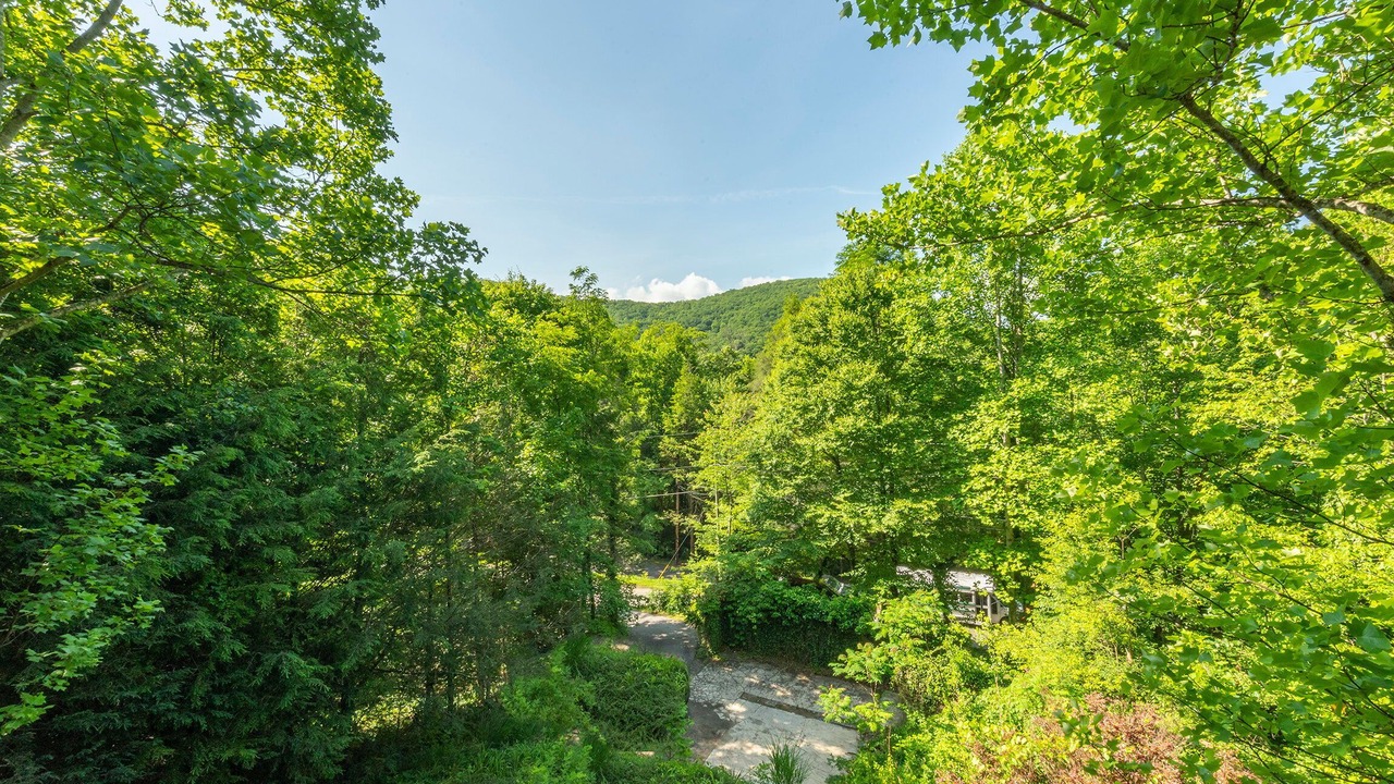 Photo of Others in Montreat