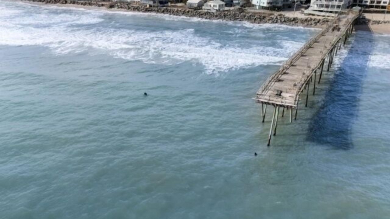 Photo of Others in North Carolina Coast