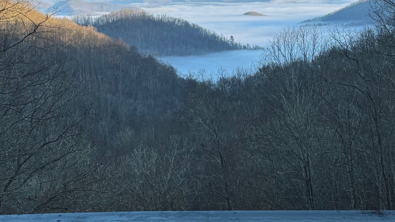 Photo of Others in Sylva