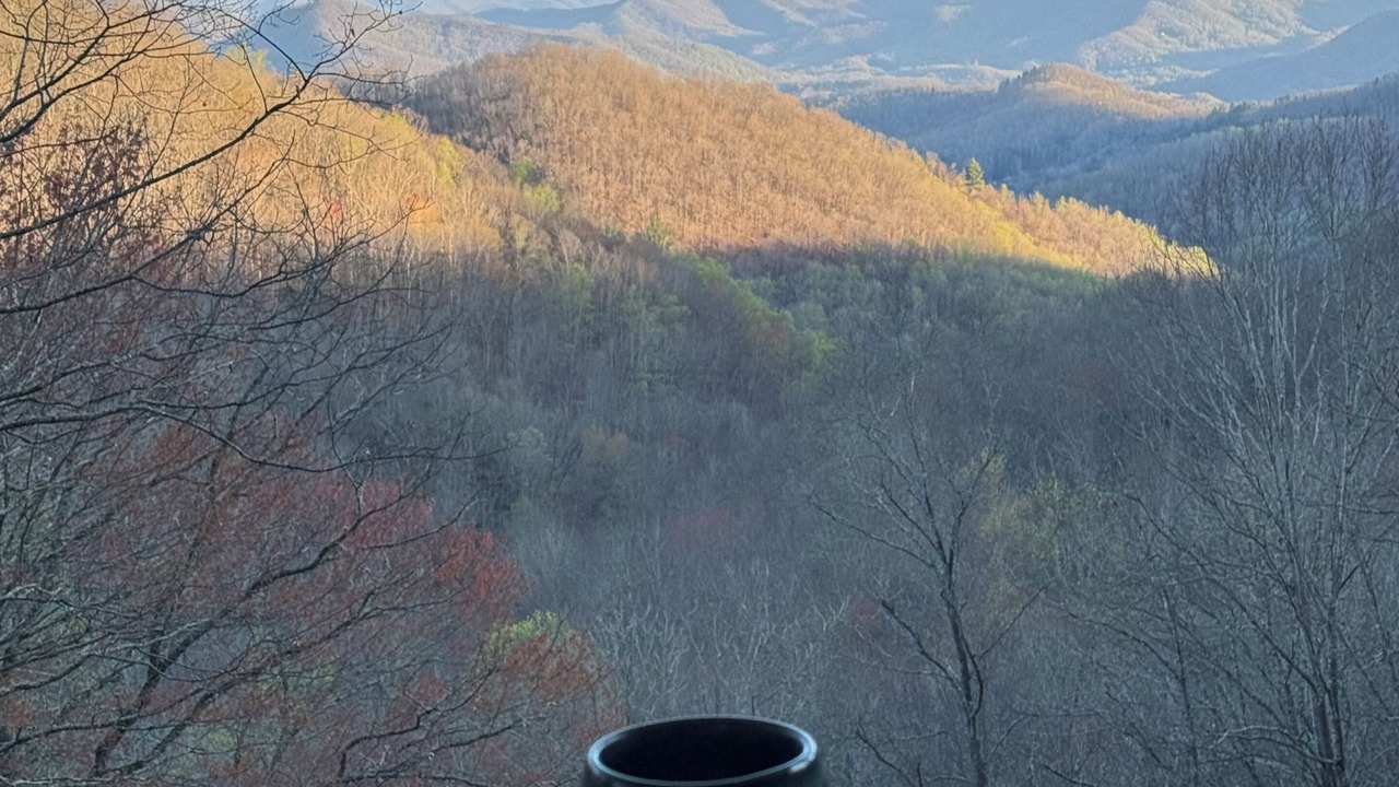Photo of Outdoor in Sylva