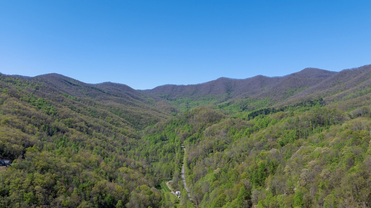 Photo of Others in Cullowhee