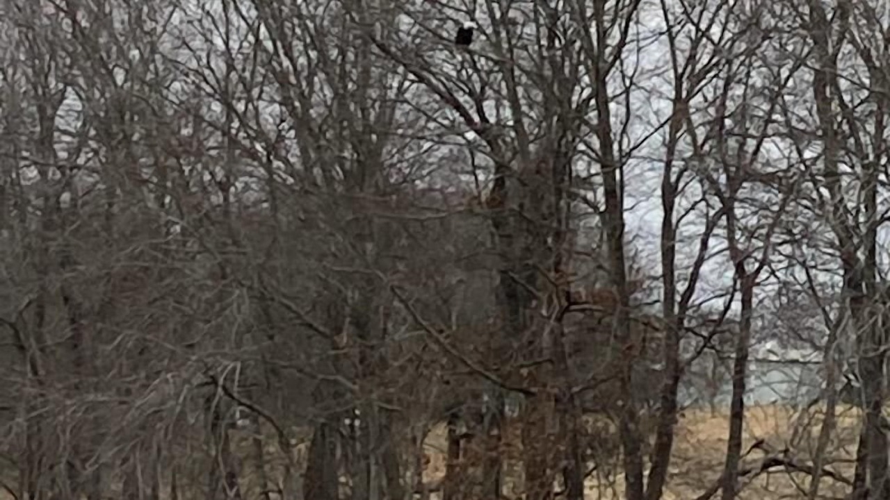 Photo of Others in Allardt