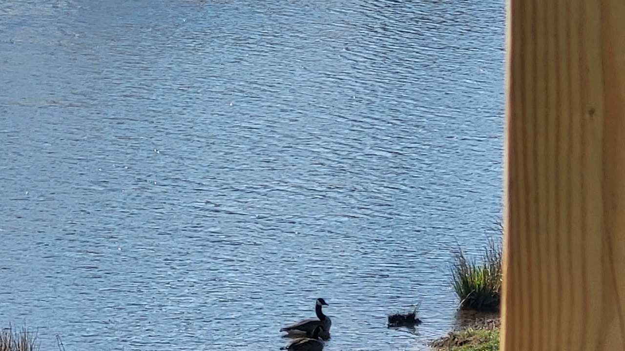 Photo of Others in Allardt