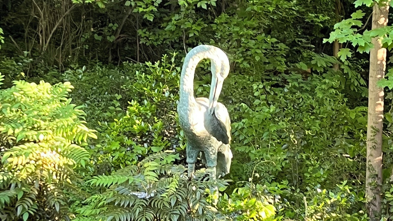 Photo of Others in Old Irving Park