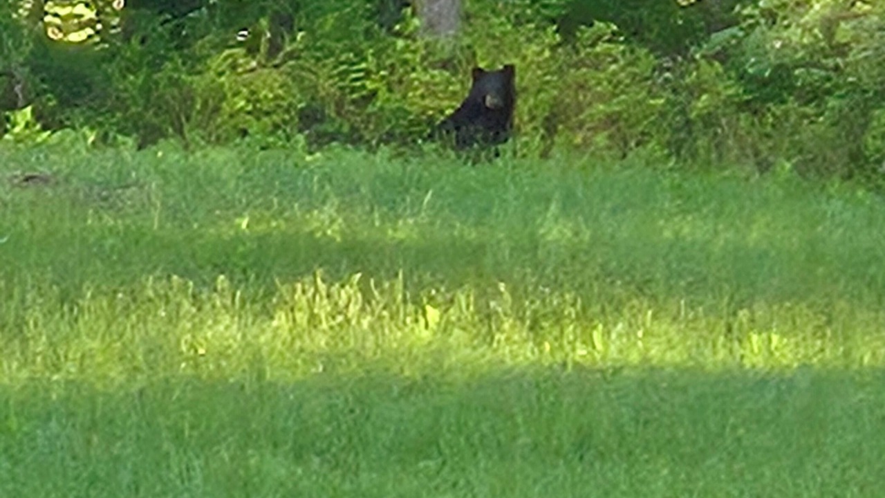 Photo of Others in Alderson