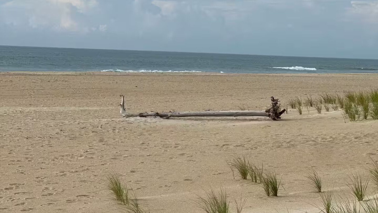 Photo of Others in Ocean Isle Estates