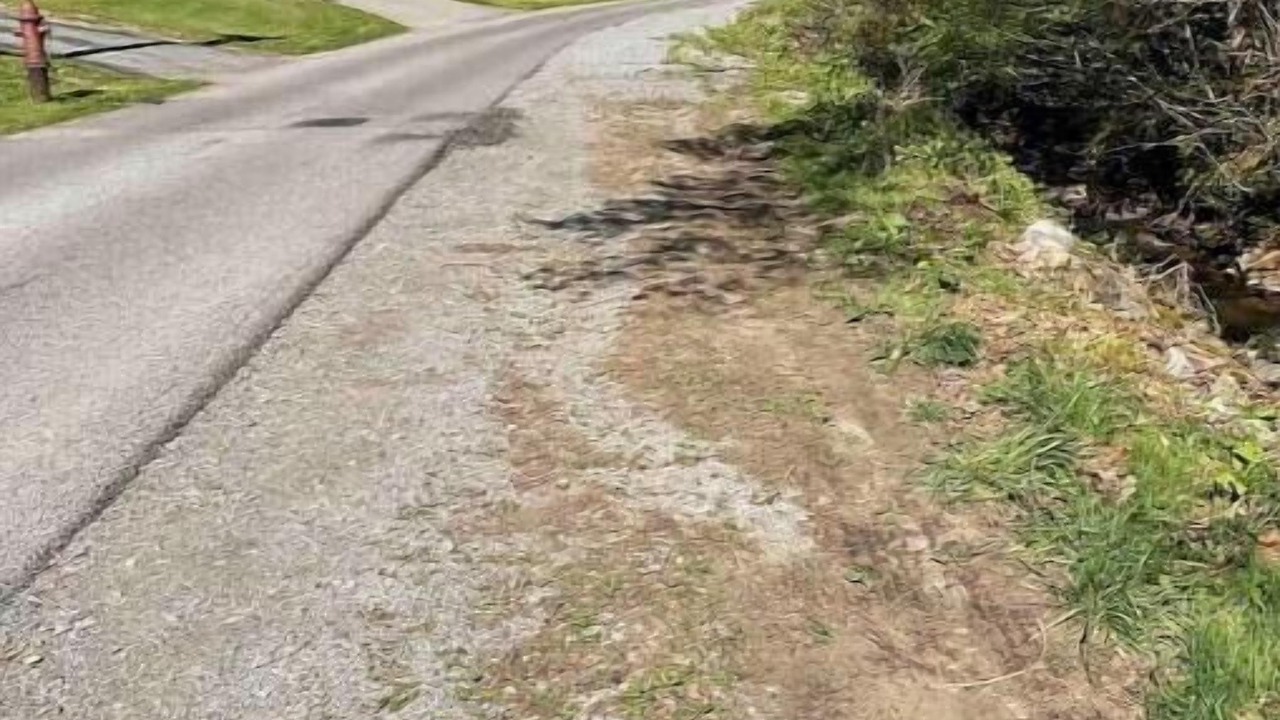 Photo of Others in Wilcoe