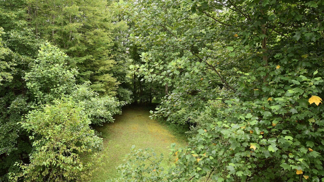 Photo of Outdoor in Woodbine