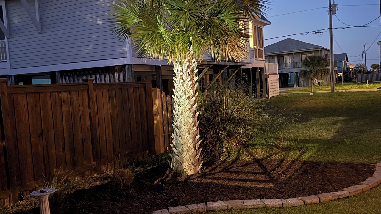 Photo of Outdoor in North Carolina Coast